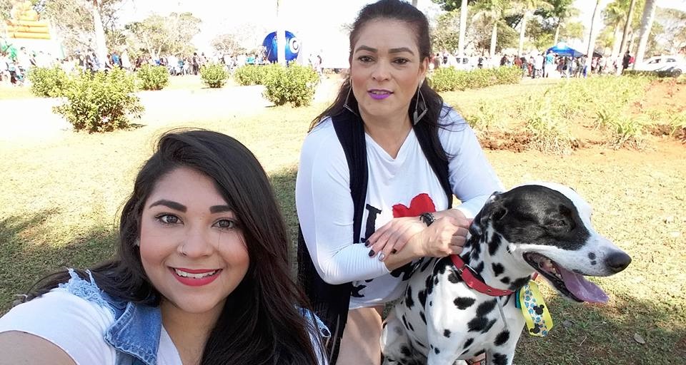 Domingo de desfile de cães no Parque da Uva