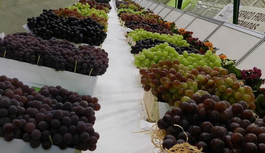  Alvarez confirma leilão de uvas premiadas