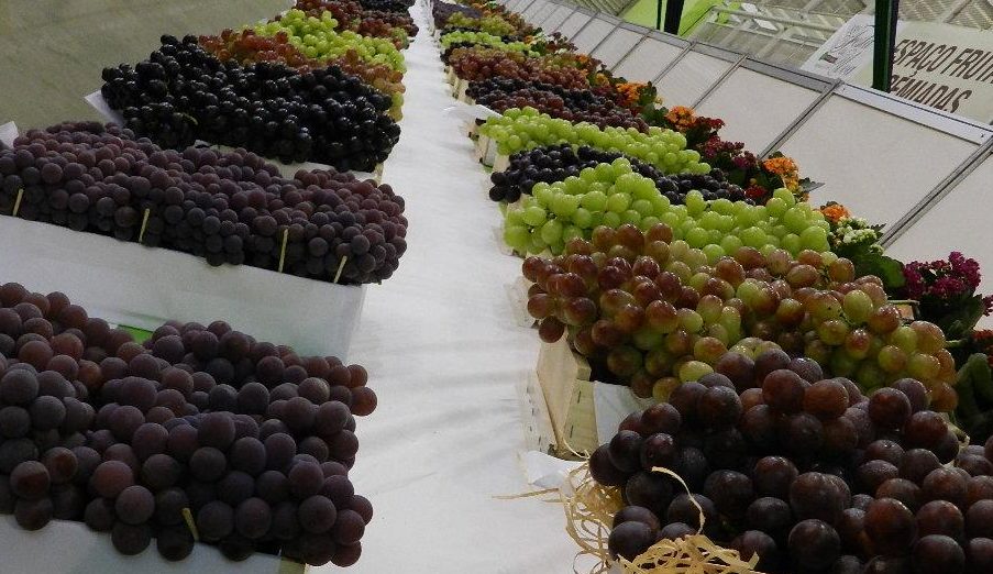 Alvarez confirma leilão de uvas premiadas