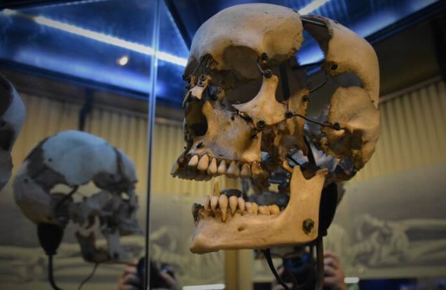  Cidade vai ganhar museu de anatomia da FMJ