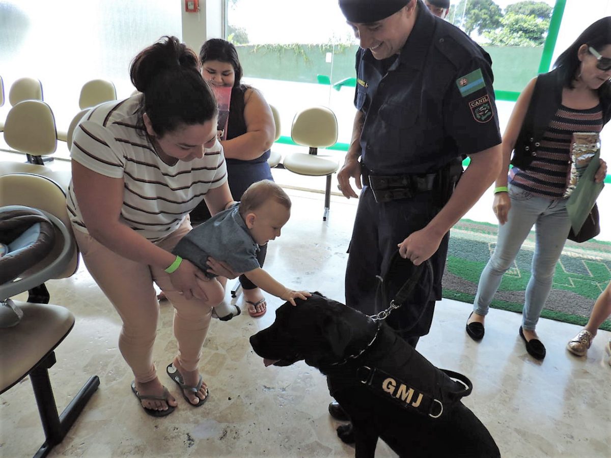 ‘Doutor’ Apollo ganha parceria de Black no Cãoterapia do HU
