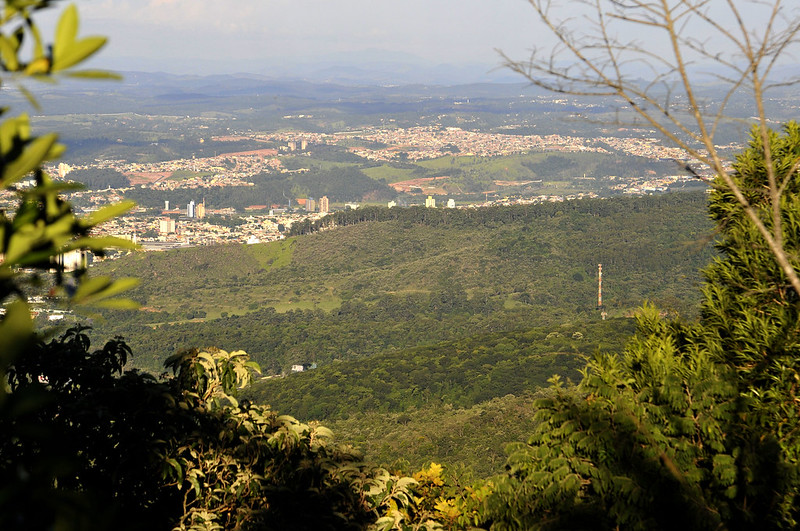 Indicadores municipais de biodiversidade