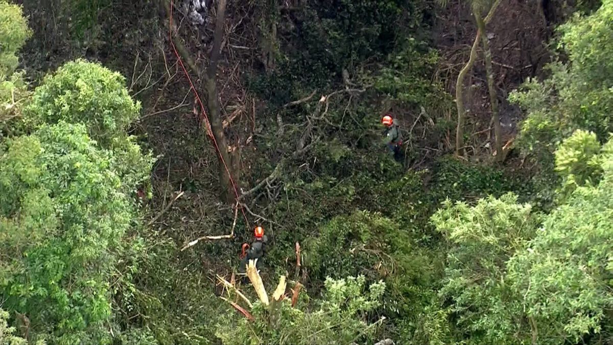 Avião que saiu e tentava voltar a Jundiaí cai na Serra da Cantareira