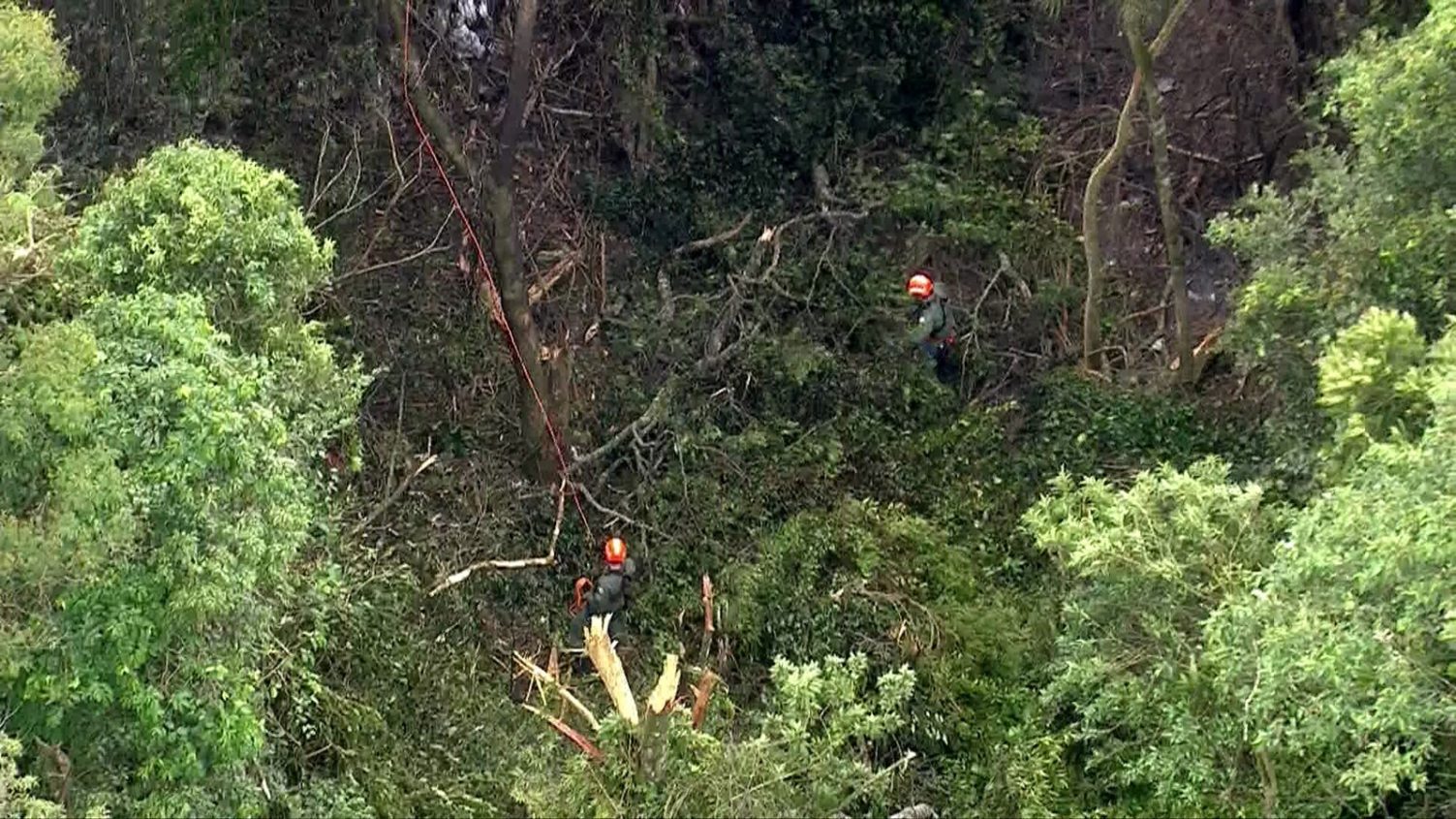 Avião que saiu e tentava voltar a Jundiaí cai na Serra da Cantareira