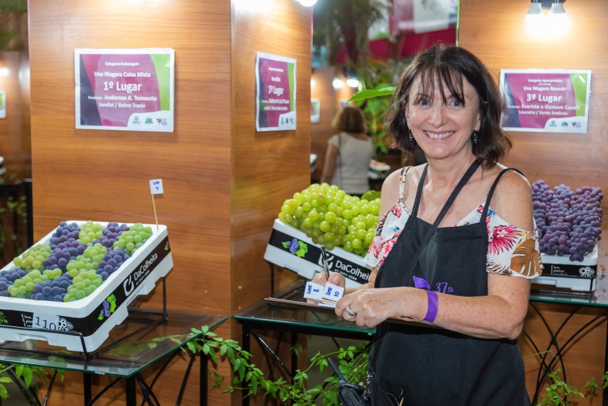 Uvas que disputam prêmio exigem cuidados