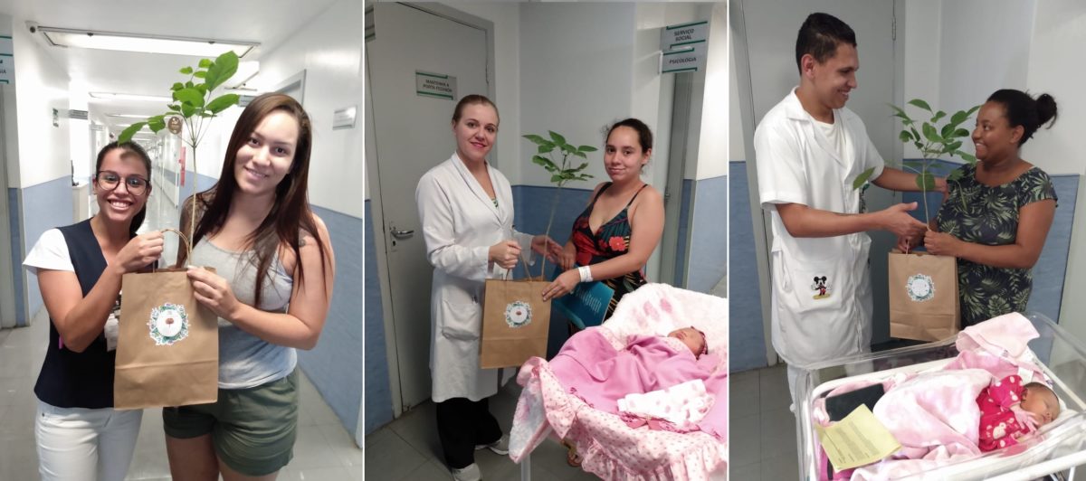 Mamãe sai do HU com bebê e muda de ipê branco de presente