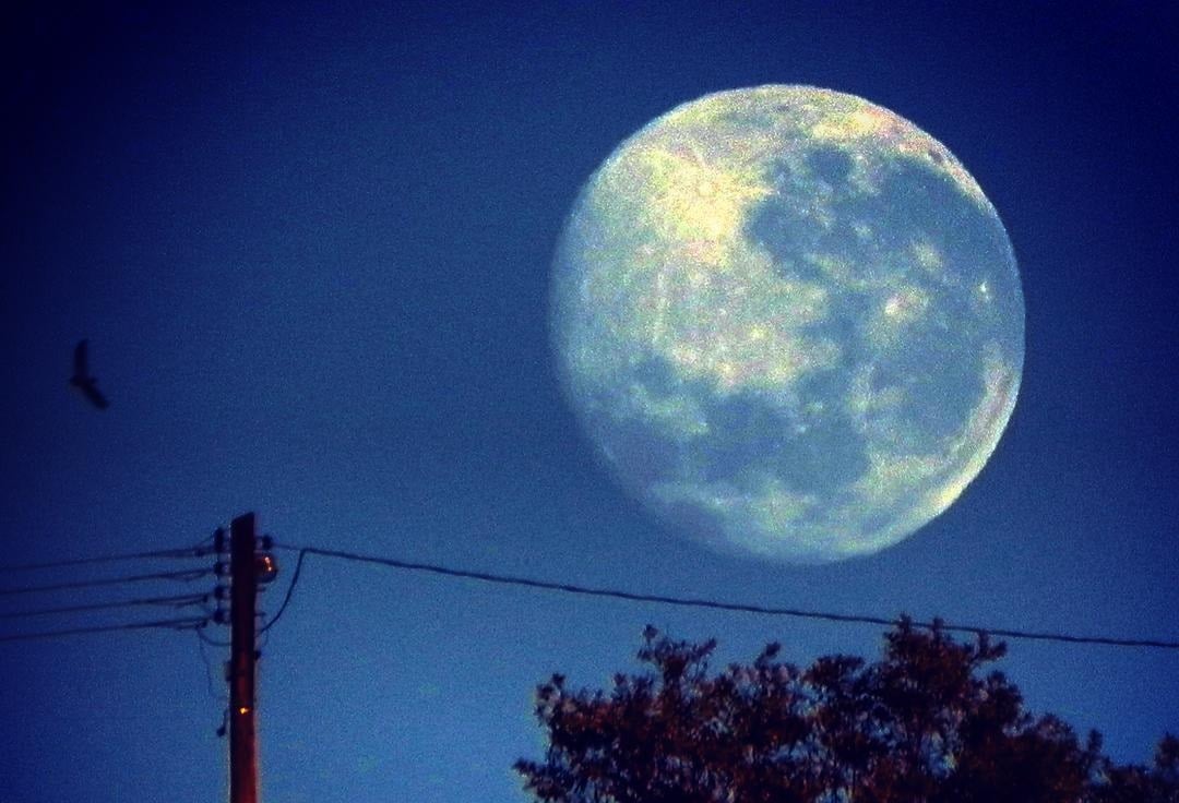  Sábado de Halloween com Lua cheia, a segunda do mês