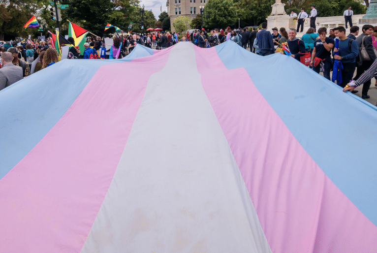 Dia Nacional da Visibilidade Trans