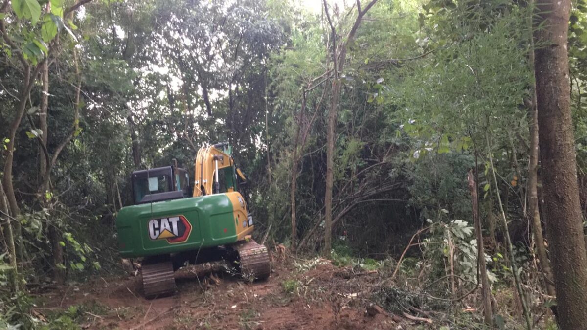 Obra da DAE é contestada por ameaçar os animais da Mata Ciliar