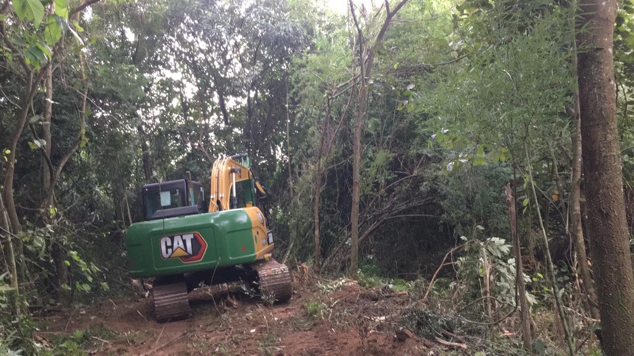  Obra da DAE é contestada por ameaçar os animais da Mata Ciliar