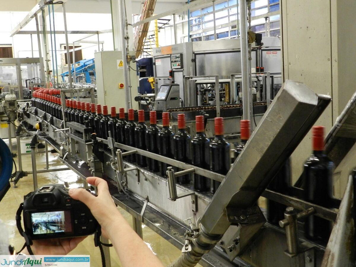 95 anos de história da CRS Brands mostra como criar oportunidade em meio à crise