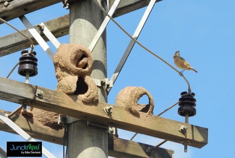 É namoro ou união estável?