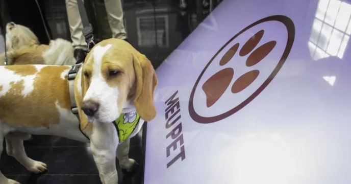  Jundiaí vai ganhar clínica veterinária pública