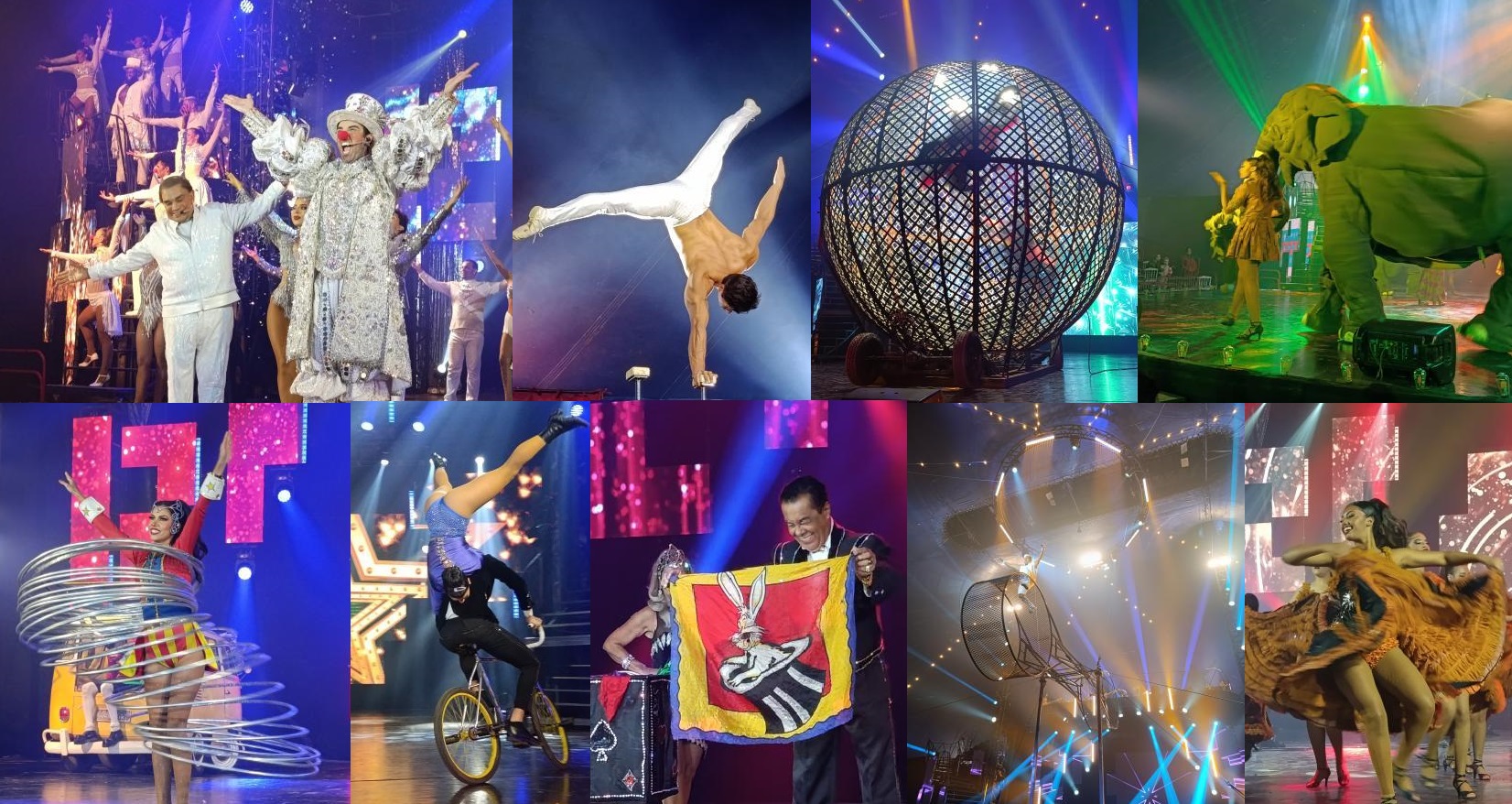  Circo Reder é simplesmente fantástico