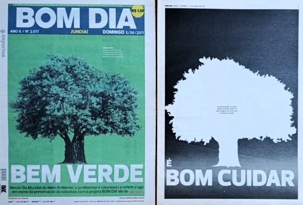 Árvore símbolo de resistência não resistiu