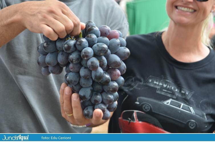 Sábado no reino da uva (parte 1)